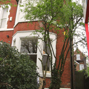 Front of house