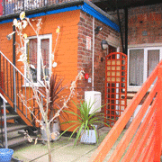 Back garden